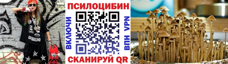Псилоцибиновые грибы GOLDEN TEACHER  магазин продажи   Калининск 