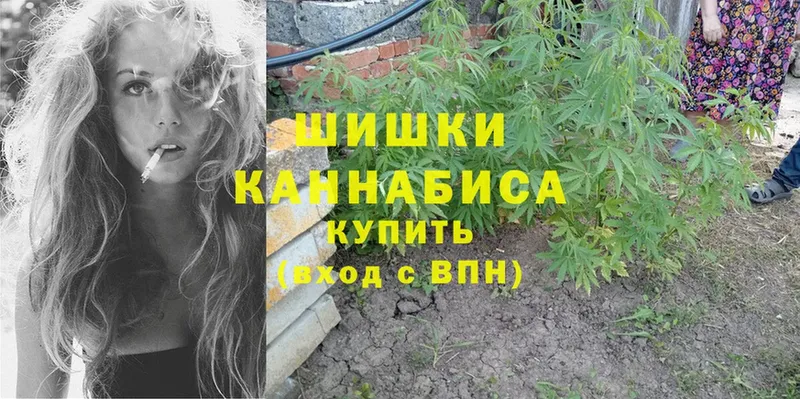 Канабис индика  Калининск 